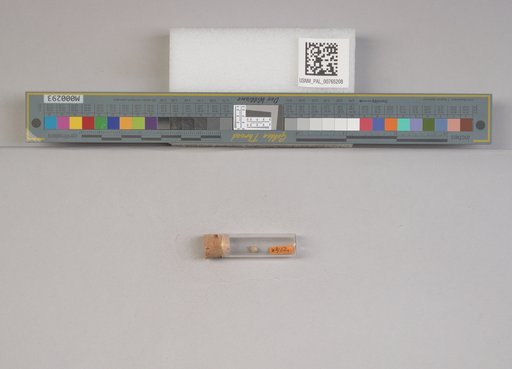 NSF ADBC EPICC TCN