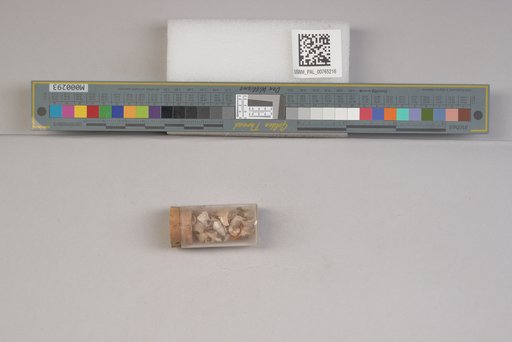 NSF ADBC EPICC TCN