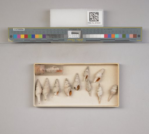 NSF ADBC EPICC TCN