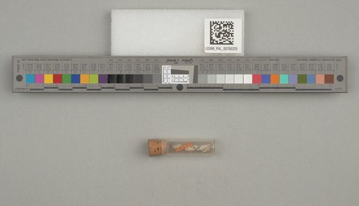 NSF ADBC EPICC TCN