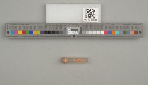 NSF ADBC EPICC TCN