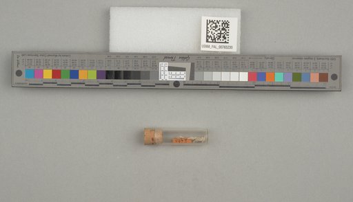 NSF ADBC EPICC TCN