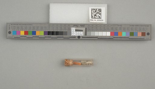 NSF ADBC EPICC TCN