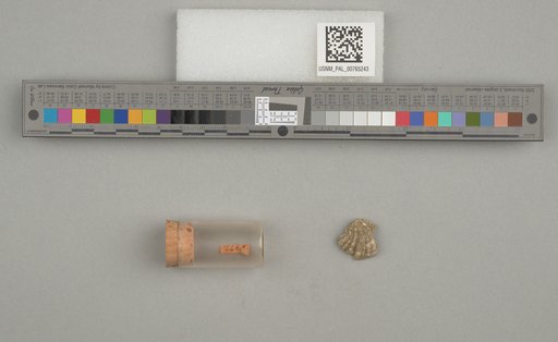 NSF ADBC EPICC TCN