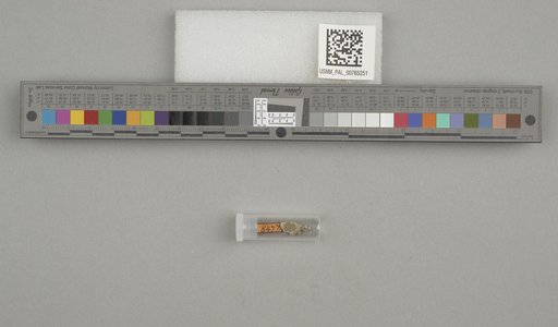 NSF ADBC EPICC TCN