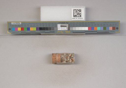 NSF ADBC EPICC TCN