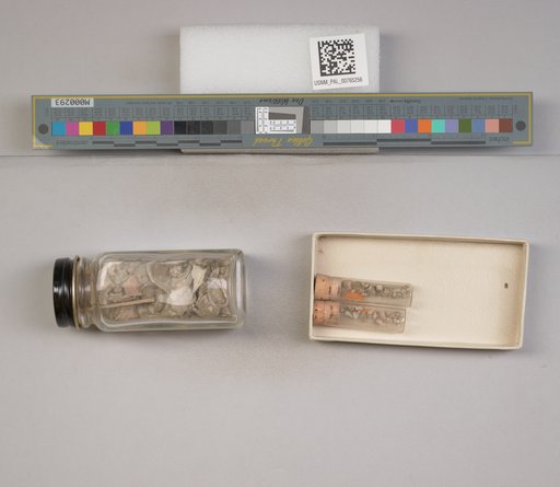 NSF ADBC EPICC TCN