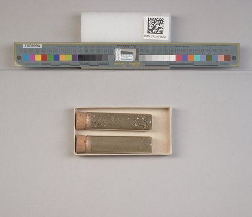 NSF ADBC EPICC TCN