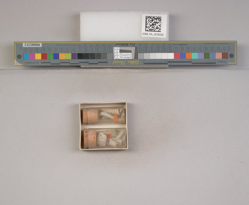 NSF ADBC EPICC TCN