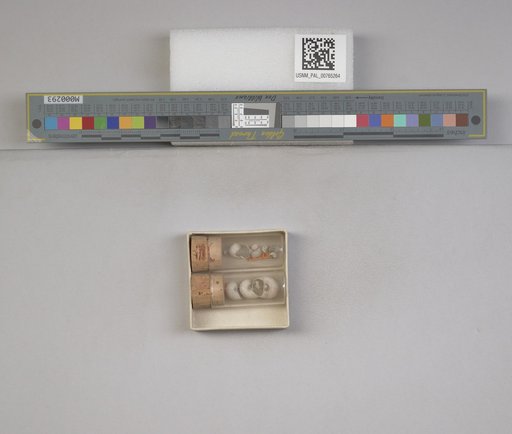 NSF ADBC EPICC TCN