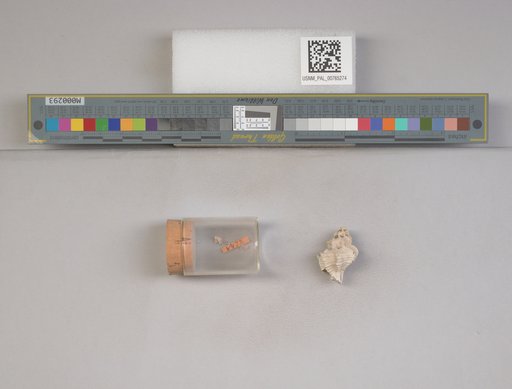 NSF ADBC EPICC TCN