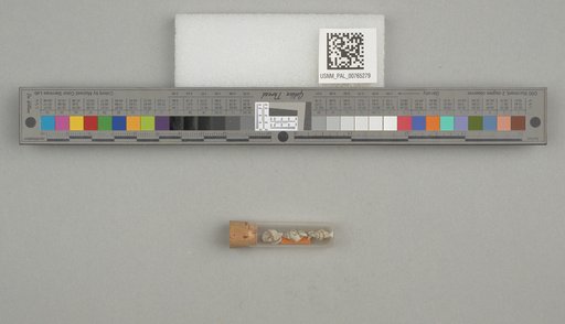 NSF ADBC EPICC TCN