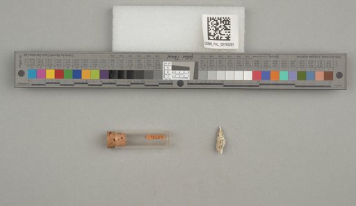 NSF ADBC EPICC TCN