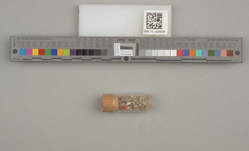 NSF ADBC EPICC TCN
