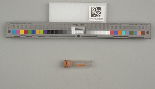 NSF ADBC EPICC TCN
