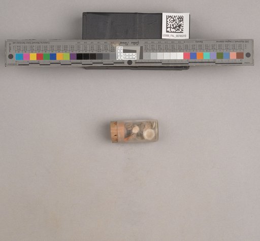 NSF ADBC EPICC TCN