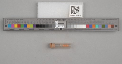 NSF ADBC EPICC TCN