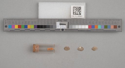 NSF ADBC EPICC TCN