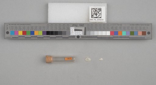 NSF ADBC EPICC TCN