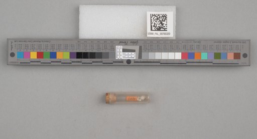NSF ADBC EPICC TCN