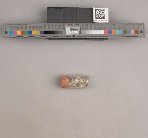 NSF ADBC EPICC TCN