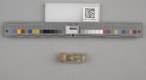 NSF ADBC EPICC TCN