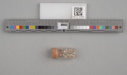 NSF ADBC EPICC TCN