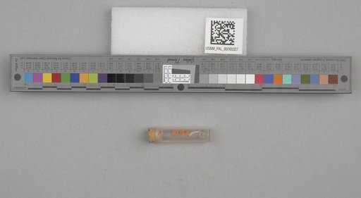 NSF ADBC EPICC TCN
