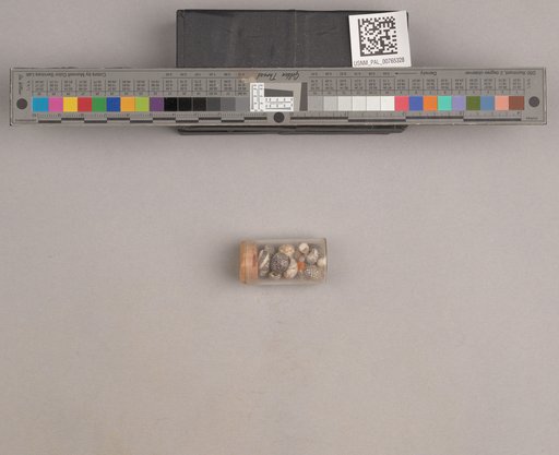 NSF ADBC EPICC TCN