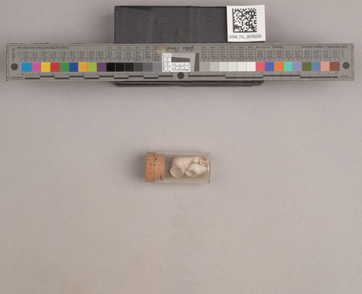 NSF ADBC EPICC TCN