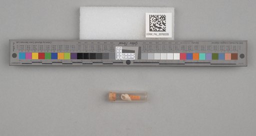 NSF ADBC EPICC TCN