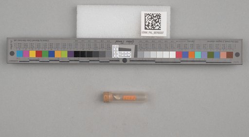 NSF ADBC EPICC TCN