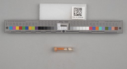 NSF ADBC EPICC TCN