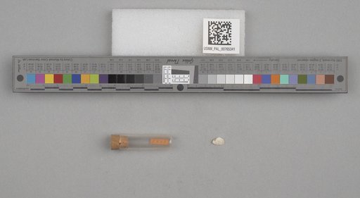 NSF ADBC EPICC TCN