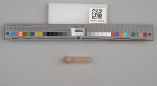 NSF ADBC EPICC TCN