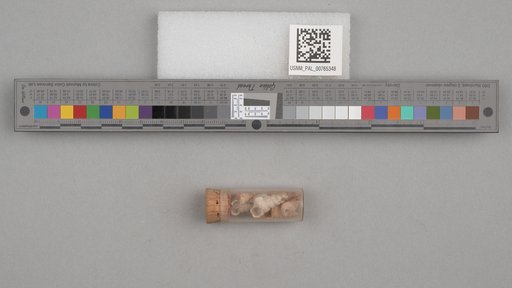 NSF ADBC EPICC TCN