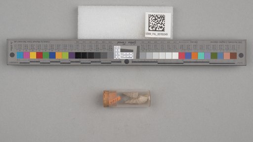 NSF ADBC EPICC TCN