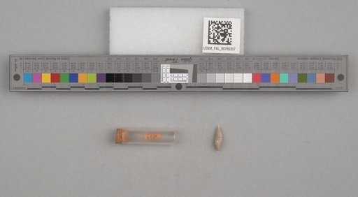 NSF ADBC EPICC TCN