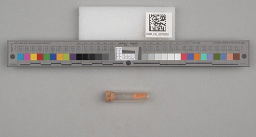 NSF ADBC EPICC TCN