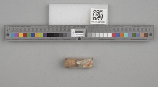 NSF ADBC EPICC TCN