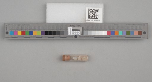 NSF ADBC EPICC TCN