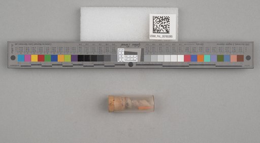 NSF ADBC EPICC TCN