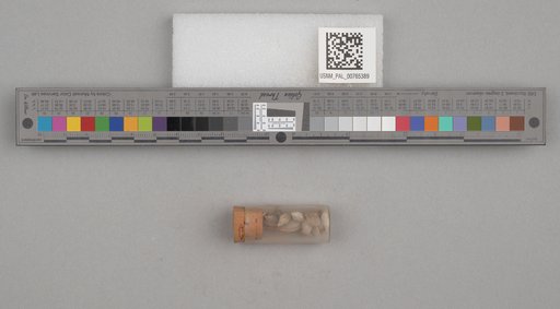 NSF ADBC EPICC TCN