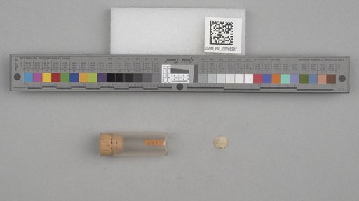 NSF ADBC EPICC TCN