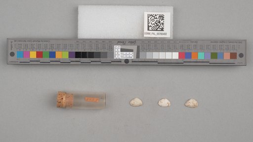 NSF ADBC EPICC TCN