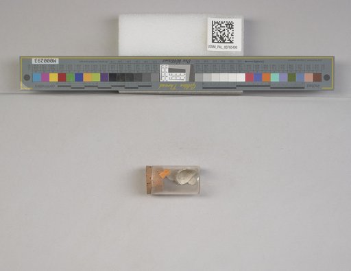 NSF ADBC EPICC TCN