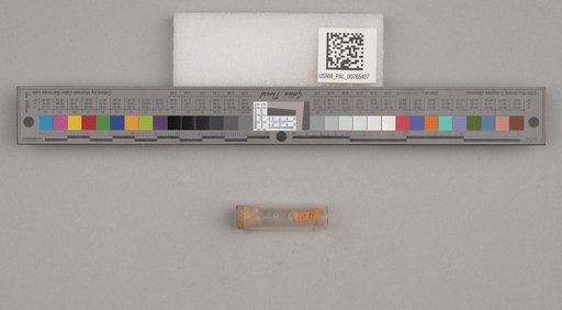 NSF ADBC EPICC TCN