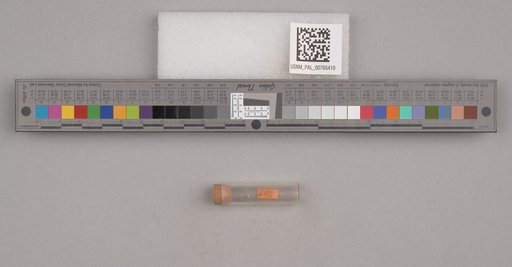 NSF ADBC EPICC TCN