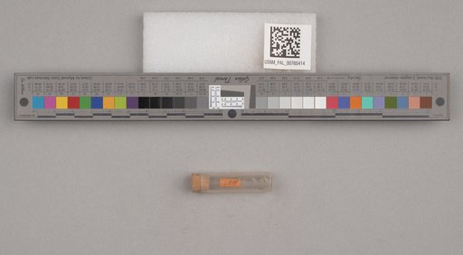 NSF ADBC EPICC TCN