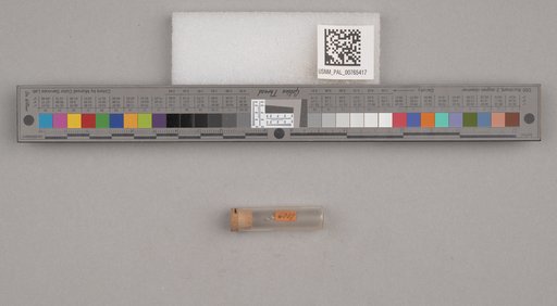 NSF ADBC EPICC TCN